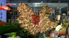 昆明國(guó)際花卉展啟幕 人體花藝首秀吸睛